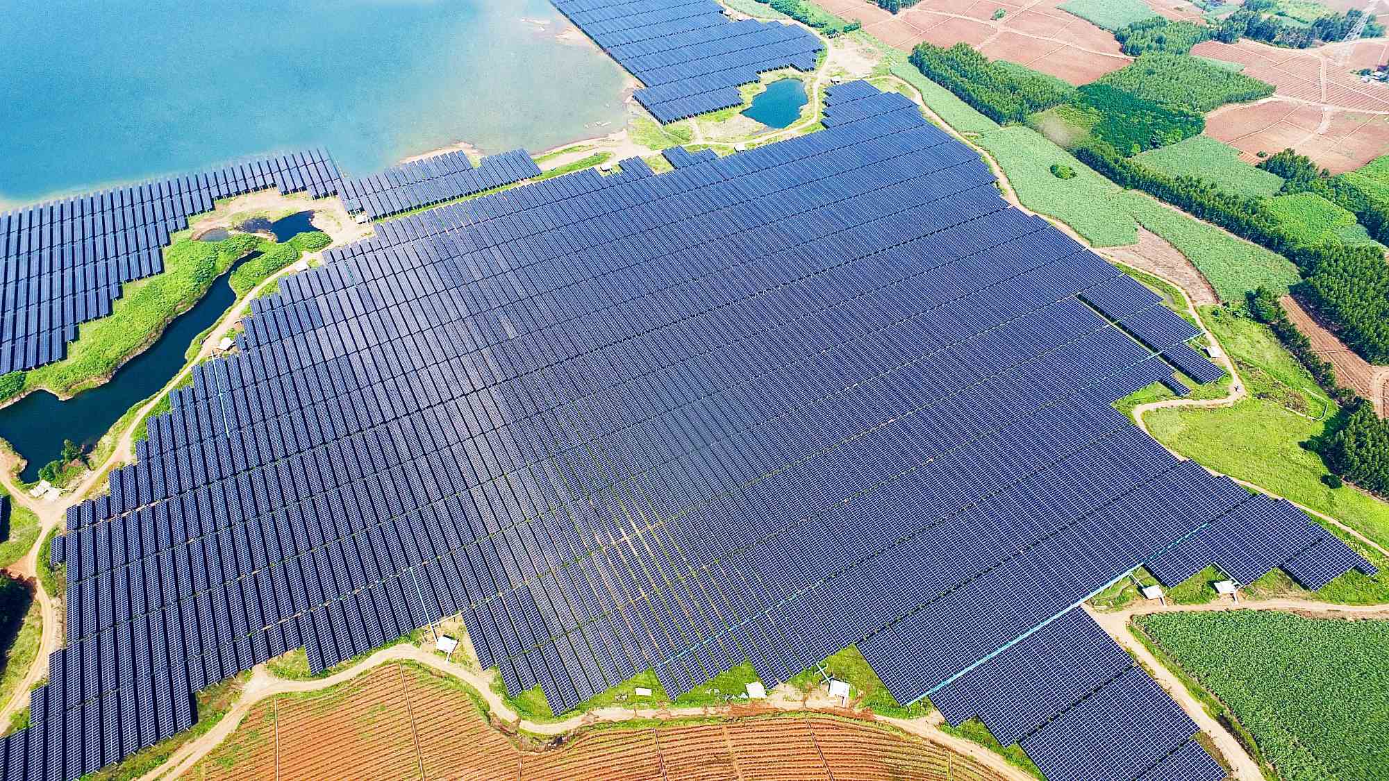 再添殊榮！華躍電力遂溪官田光伏電站項(xiàng)目榮獲“2025年度廣東優(yōu)質(zhì)安裝工程獎(jiǎng)”
